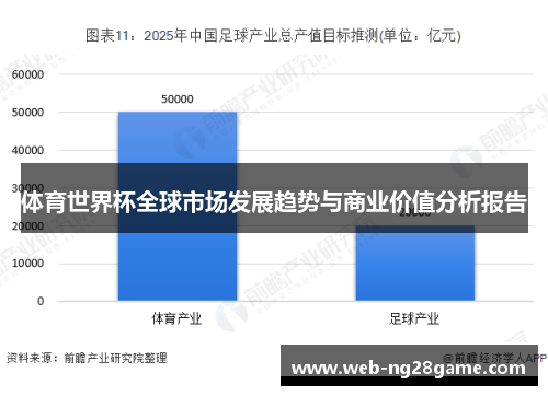 体育世界杯全球市场发展趋势与商业价值分析报告