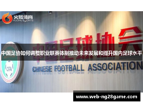 中国足协如何调整职业联赛体制推动未来发展和提升国内足球水平