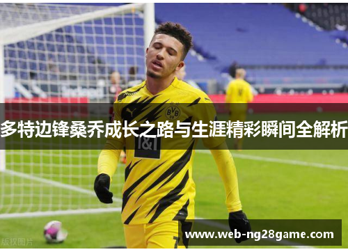 多特边锋桑乔成长之路与生涯精彩瞬间全解析