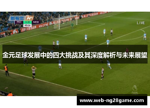金元足球发展中的四大挑战及其深度解析与未来展望