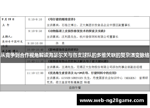 从竞争到合作视角解读海瑟尔关与各支球队的多维关联的复杂演变脉络