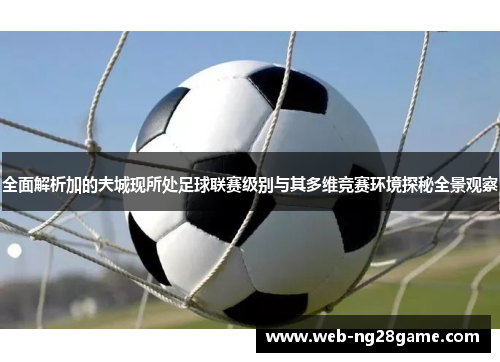 全面解析加的夫城现所处足球联赛级别与其多维竞赛环境探秘全景观察