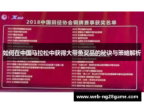 如何在中国马拉松中获得大带鱼奖品的秘诀与策略解析