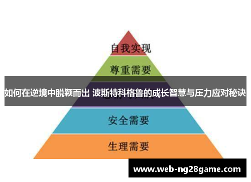 如何在逆境中脱颖而出 波斯特科格鲁的成长智慧与压力应对秘诀